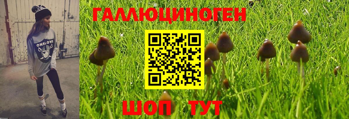 Галлюциногенные грибы Cubensis  Галлюциногенные грибы Psilocybe  продажа наркотиков  Лениногорск  Вход с VPN 